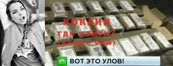 винт Горняк