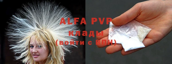 гидра Горно-Алтайск