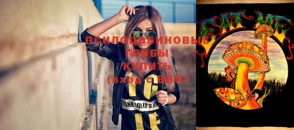 гидра Горно-Алтайск