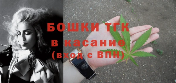 винт Горняк