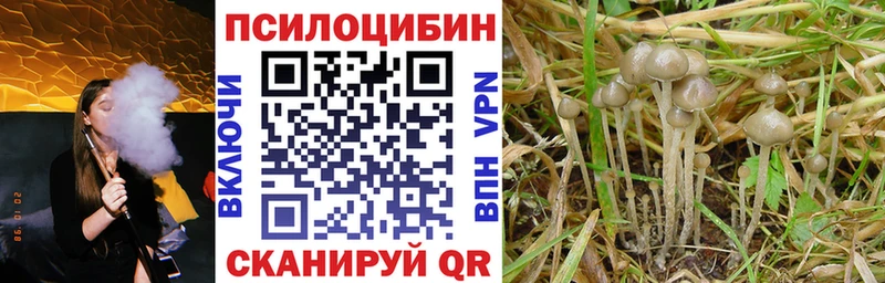 Псилоцибиновые грибы прущие грибы  Обнинск 